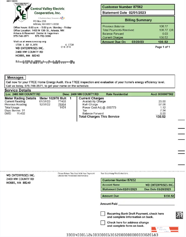 USA CENTRAL VALLEY ELECTRIC utility bill Word and PDF template